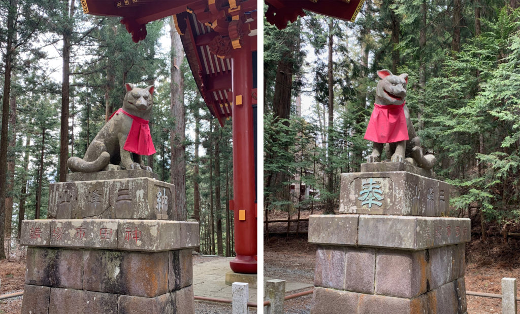 オオカミ 三峯神社